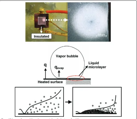 Figure 10 Images of nanparticle coating generated, on the heater surface [28].