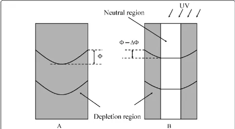 Figure 5 Schematic of the depletion region in the dark (A) and under UV illumination (B)
