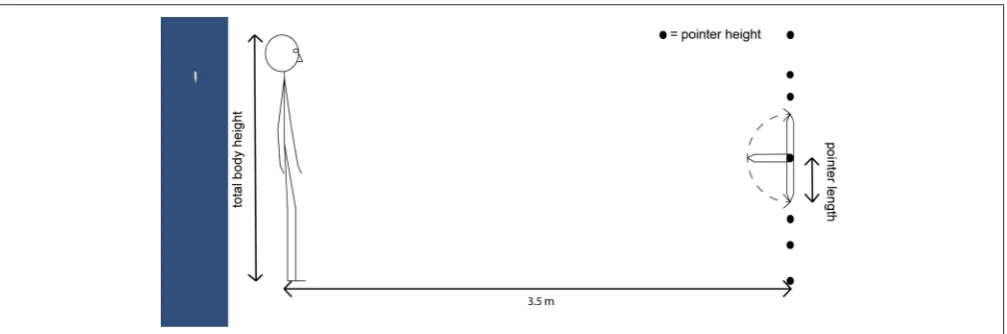 FIGURE 3 | (Left) The pointer stimulus. An example image of the pointer stimulus, here with an angle of + 48.2◦ up from straight down, showing a ﬁeld of view ofabout 20◦ horizontal and 100◦ vertical