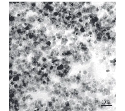 Figure 6 TEM characterization of superparamagnetic Fe3O4 nanoparticles.