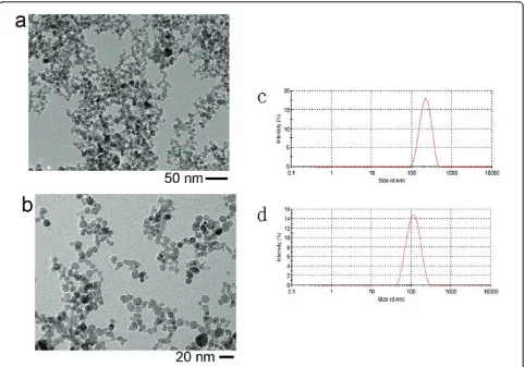 Figure 1 TEM images of bare g-Fe2O3 nanoparticles (a) and DMSA-coated nanoparticles (b)