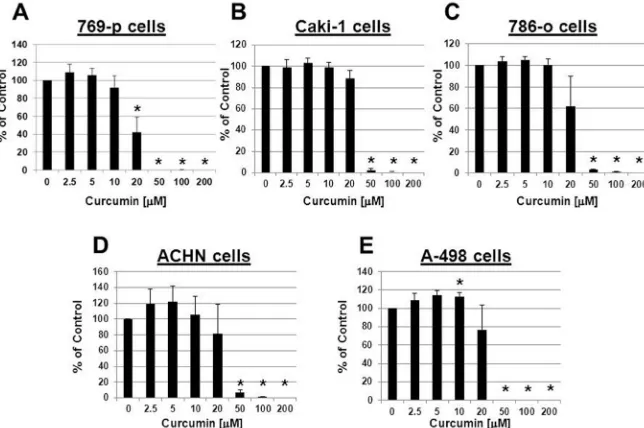 Figure 1.  Curcumin inhibits ccRCC cell proliferation and viability. 769-p cells (A), Caki-1  cells (B), 786-o cells (C), ACHN cells (D) and A-498 cells (E) were treated with the indicated concentrations of curcumin