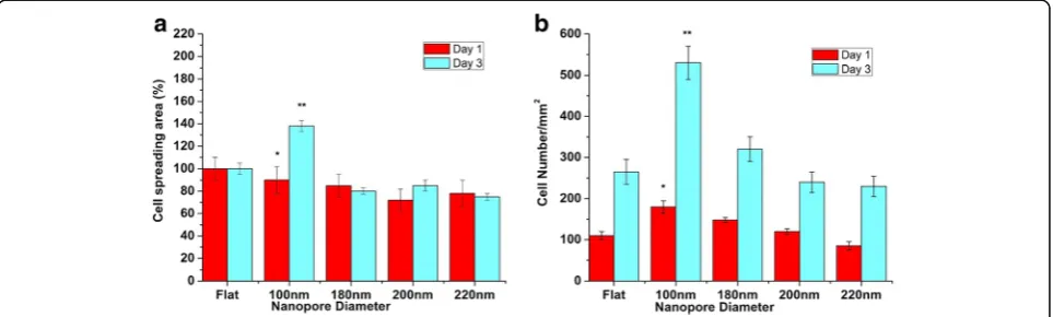 Fig. 2 Scanning electron microscopy of cells cultured on various nanoporous stainless steel artificial microenvironments