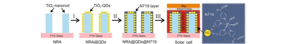 Fig. 1 Schematic illustration for the interfacial engineering in a polymer/TiO2-NRA solar cell by a combination of TiO2-QDs and organic moleculesN719 and the architecture of solar cells