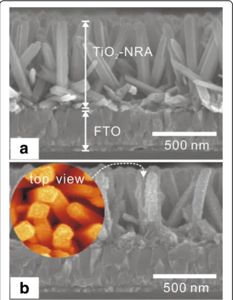 Figure 2a shows a typical side view of the SEM image ofan as-synthesized TiO2-NRA. The rods stand almostperpendicular to the substrate, have a similar diameterin the 40 to 50 nm range, and are about 500-nm long.