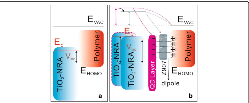 Fig. 5 Polymer/TiO2-NRA band diagram (a) and the band structure changes subjected to interfacial engineering (b)