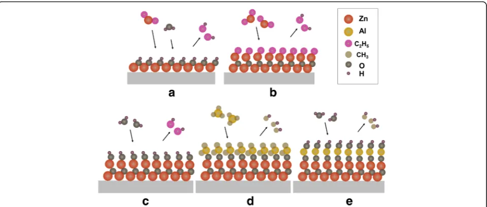 Fig. 2 The schematics of the reaction process in ALD. a Reaction DEZ and H2O reacting
