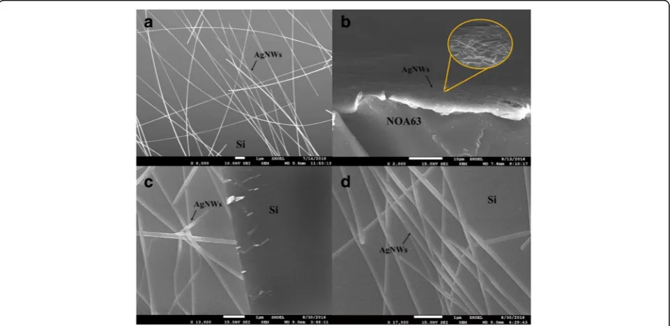Fig. 5 SEM micrographs of (a) AgNWs with large length to diameter ratio. b AgNWs embedded in NOA63