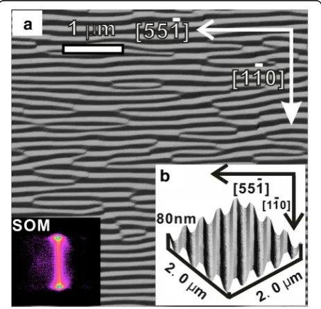 Fig. 1 a A 3D rendering of AFM image for the rib-patterned Si (1 1 10)template with the ribs aligned along [1 −1 0]