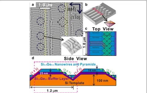 Fig. 3 a A Laplacian-filtered AFM image for the sample with the rib bottom width of about 1.6 μm