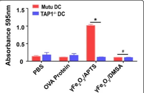 Fig. 4 Cross-presentation of OVA protein through proteasome inMutu DCs