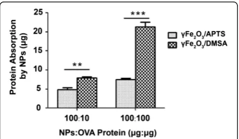 Fig. 5 awith DCs, which were without γFe O NPs labeling, had round shape and the cytoplasm was uniform