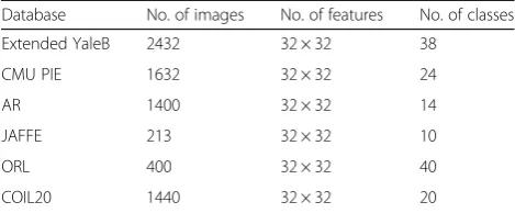 Fig. 3 Some of the images from different databases. a Extended YaleB. b CMU PIE. c AR