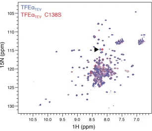 Figure 3. The degenerate zinc-ribbon domain of TFE� is capable of zinc binding. (A and B) nESI native mass spectrum of monomeric wild type TFE�TEV(A) and TFE�TEV C138S (B) after incubation with zinc