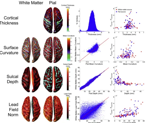 Fig. 7. Relationship between cortical surface anatomy and laminar discriminability. First row (from left to right): cortical thickness plotted on the pial surface, cortical thicknessdistribution over the pial surface, free energy difference between the cor