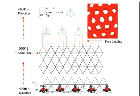 Figure 8 Growth process of ZnO nanorods in the direction [001]. The growth process is facilitated by the tetrahedral structure of thespecies Zn[(OH)4]2- which fits well with the (001) surface polyhedra, this phenomenon (spatial resonance) increases the growth in this directionmore than in another faces.