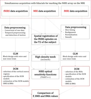 Fig. 1. Outline of the analyses conducted in this study for fNIRS, MRI and fMRI.