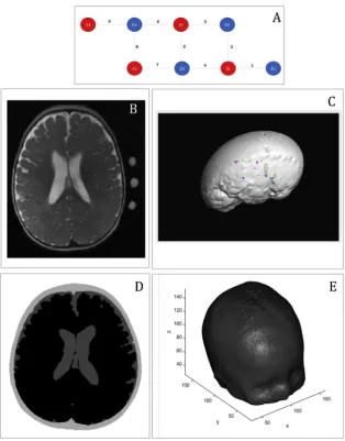 Fig. 2. Representation of the main methodological steps. A,Representation of the array