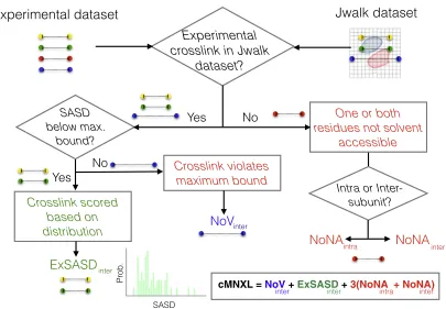 Figure 1. Flowchart Detailing the Scoring Workﬂow of cMNXLcMNXL is the total of the scores for each individual experimental crosslink.