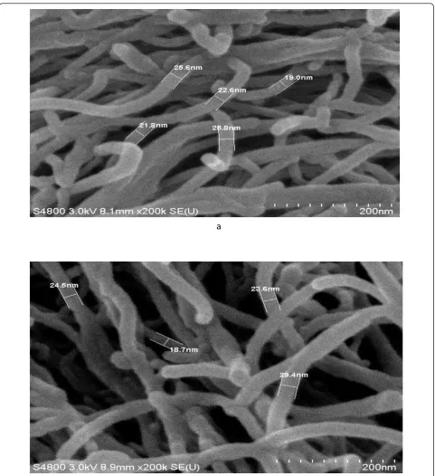 Figure 2 SEM micrographs of CNTs before (a) and after (b) dispersion.