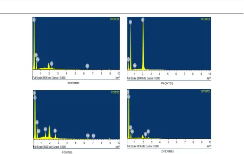 Figure 3 SEM micrographs of different functionalized samples.