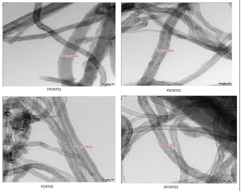 Figure 5 TEM images for different samples.