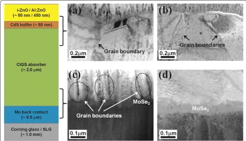 Figure 1 XTEM images of each interfaceand the Na-incorporated device; the interface between the CIGS absorber layers and the Mo back contact layers for(d)
