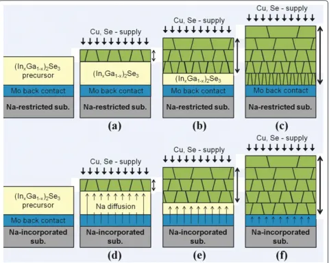 Figure 4 The mechanism of the crystal growth model for CIGS films. In (a,b,c) Na-restricted and (d,e,f) Na-incorporated devices.