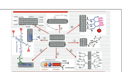 Figure 1 The formation of SWCNT and its physical and chemical treatment for use as drug carriers