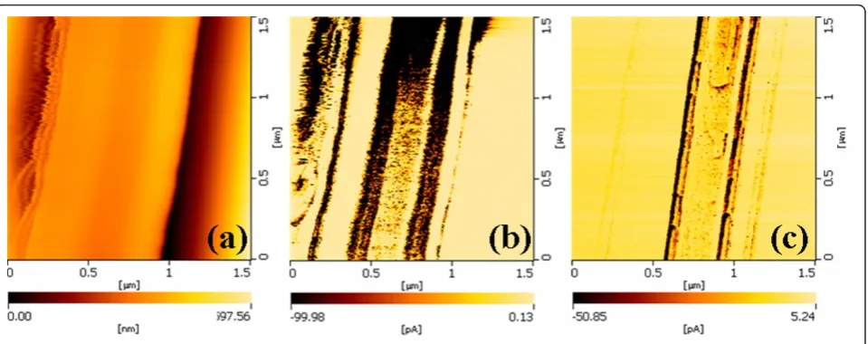 Figure 4 Current images of SnO2 nanobelt. (a) Surface topography, (b) current maps at -4.0 V, (c) reduced current images in the second scanat -4.0 V.