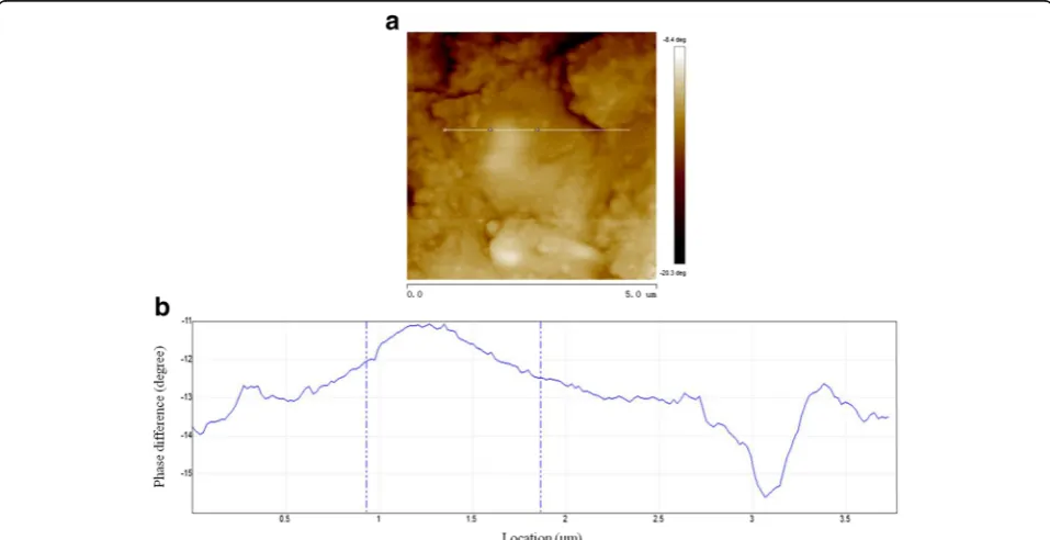 Fig. 2 Sample surface topography obtained by AM-AFM