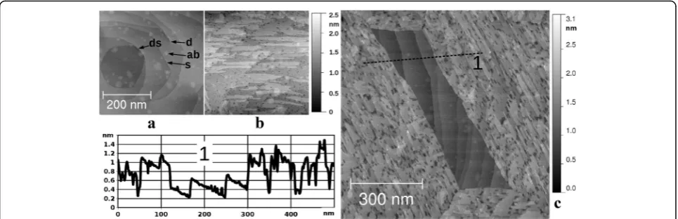 Fig. 1 STM images (sample bias voltage 1.0 V; tunneling current 1 nA) of the single crystal Ru(0001).bombardment protocol (see Methods) followed by etching at 1100 K in O a Prepared according to the ion2 at 5 × 10−8 mbar during 30 min