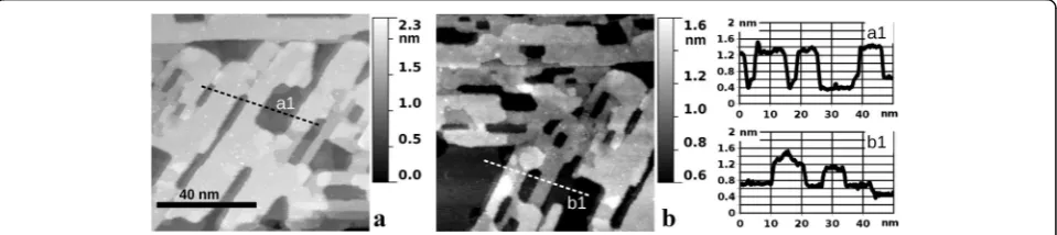Fig. 5 STM images (86 nm × 86 nm, sample bias voltage 1.0 V, tunneling current 1 nA) of the RuO2(110)/Ru(0001) sample after being chemicallyreduced by exposure to 10 L (1 × 10−7 mbar for 100 s) of HCl, while the sample was held at 700 K