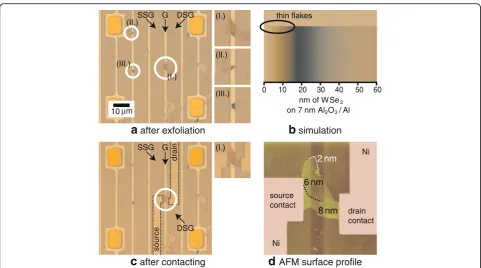 Fig. 2 Fabrication process of WSe2 devices on the LOCOS BTG structure: a Exfoliation of WSe2 flakes on the structure, b visibility simulation, c fabrication ofsource/drain contacts, and d AFM surface profile to determine the thickness of the flake