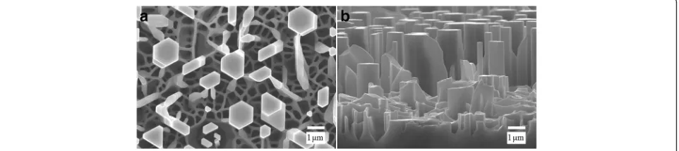 Fig. 1 The a top view and b side-view SEM images of the vertically aligned N-doped ZnO MRs