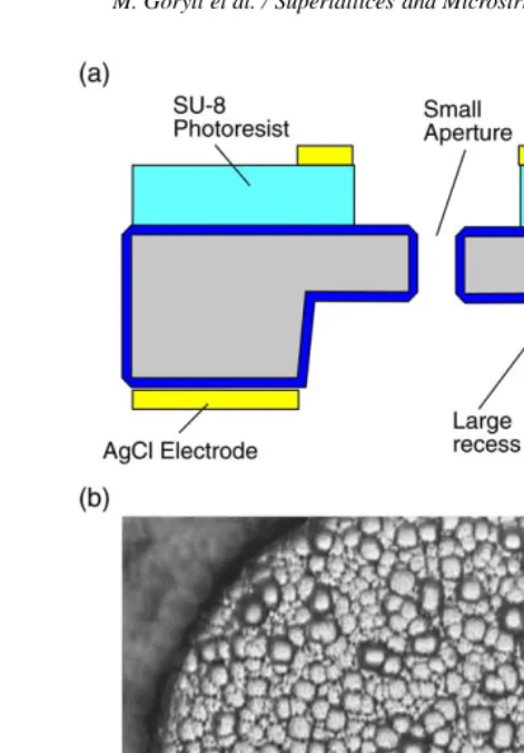 Fig. 3. (a) Schematic cross section through the aperture. (b) Small hole (diameter 150 µm) etched inside a thinnedrecess