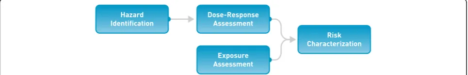 Fig. 1 The 4-step top-down human health risk assessment framework