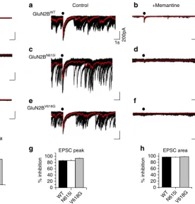 Fig. 7 = 5–7 cells for each condition.Calibration in a applies to b–(a,N615IGluN2BBar graphs showing inhibition as a percentage of the mean peak EPSCamplitude ( g), and charge transfer (area under the evoked EPSCs; ((compared to controls in 0 MgmV in Krebs