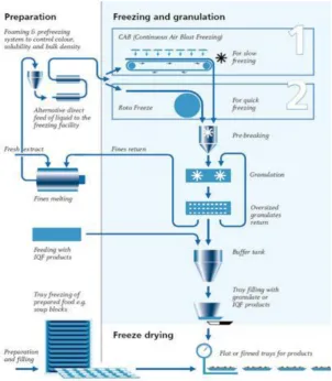 Figure 7: Freeze drying Granulation. 