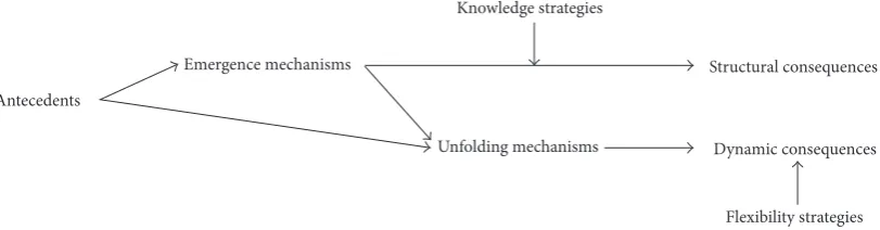 Figure 2: Integrative model of complexity influences and strategies for diminishing them.