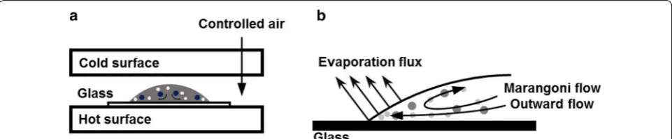 Fig. 1 a Experimental set of evaporation of droplet in temperature- and humidity-controlled chamber