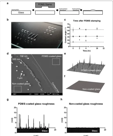 Fig. 2 a Schematic of PDMS-coated glass by PDMS stamp. b Image of patterned droplet on PDMS coated glass