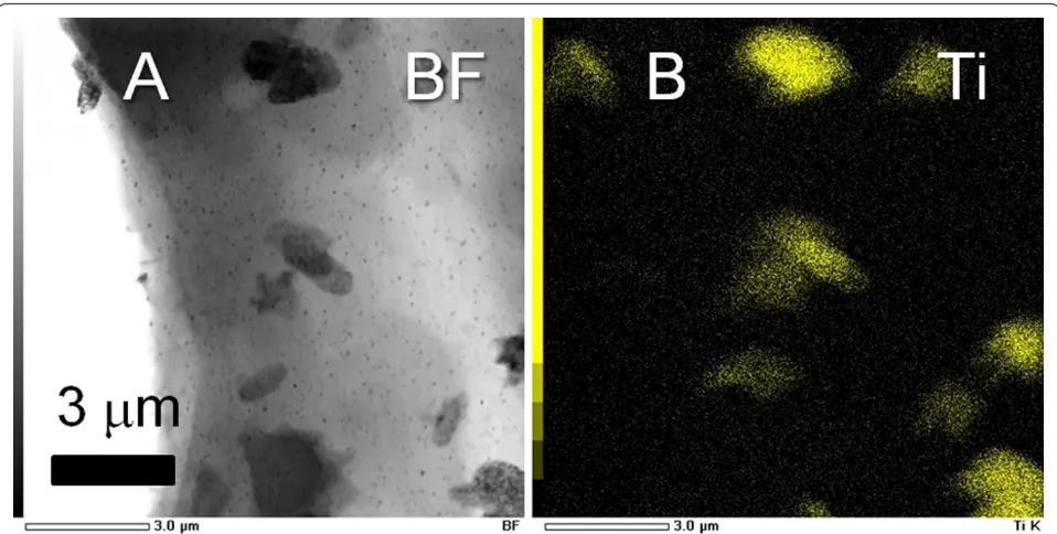 Figure 2 TEM image and Ti elemental mapping of 20 Ti. (A) Bright field TEM image and (B) Ti elemental mapping of 20Ti treated in water at100°C for 24 h.