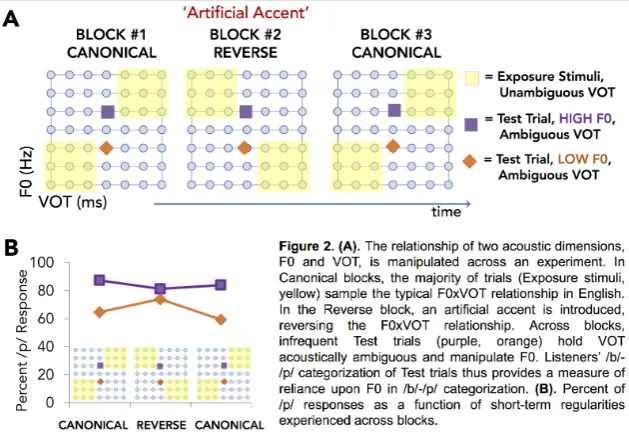 Figure 2b illustrates the impact of short-term regularities across speech input dimensions on listeners’ reliance on F0 to signal /b/-/p/ categorization