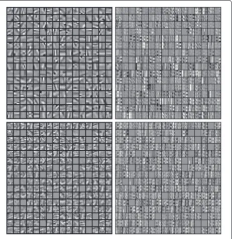 Fig. 2 Dictionaries used during the image process