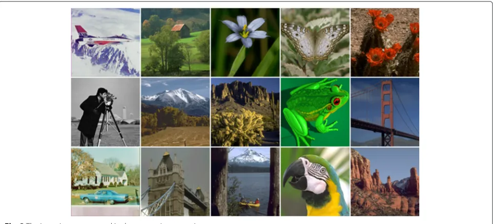 Fig. 3 The input images we used in the comparison experiments