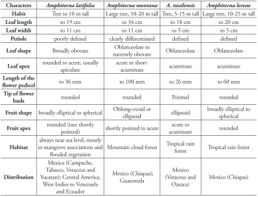Table 1. Comparison of diagnostic morphological characters of Amphitecna loreae with its close relatives.