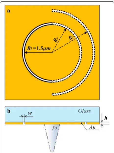 Fig. 1 Schematic top view (a) and front view (b) of the designeds-SNOM probe