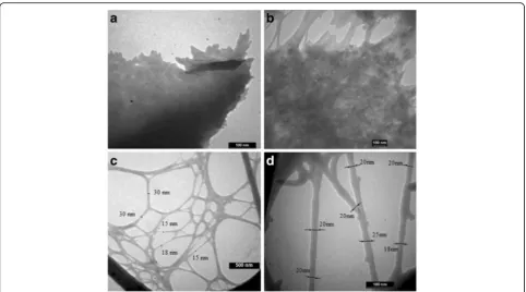 Fig. 5 TEM images of the nanocellulose samples after different conditions of hydrolysis with sulfuric acid and ultrasound treatment for 30 min:30 % at 20 °C, 30 min reaction time (a); 64 % at 20 °C, 5 min reaction time (b); 43 % at 45 °C, 45 min reaction time (c, d)