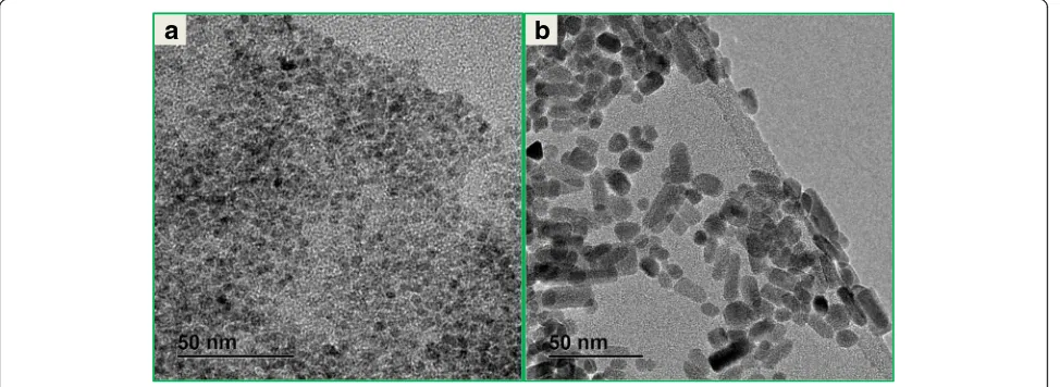 Fig. 1 TEM images for a un-doped and b Ho3+-doped ZnO